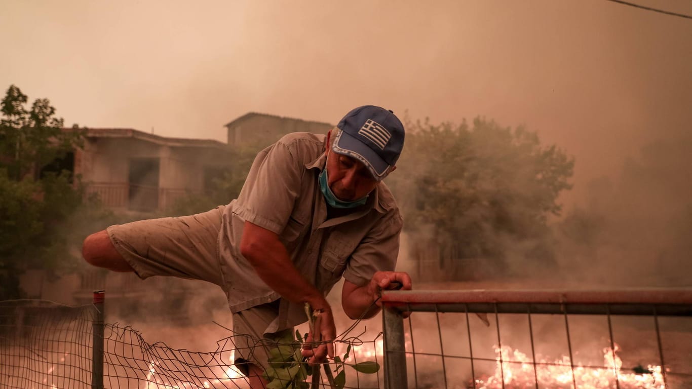 Feuer auf der Insel Euböa: Zurzeit sind viele griechische Orte von Flammen bedroht.