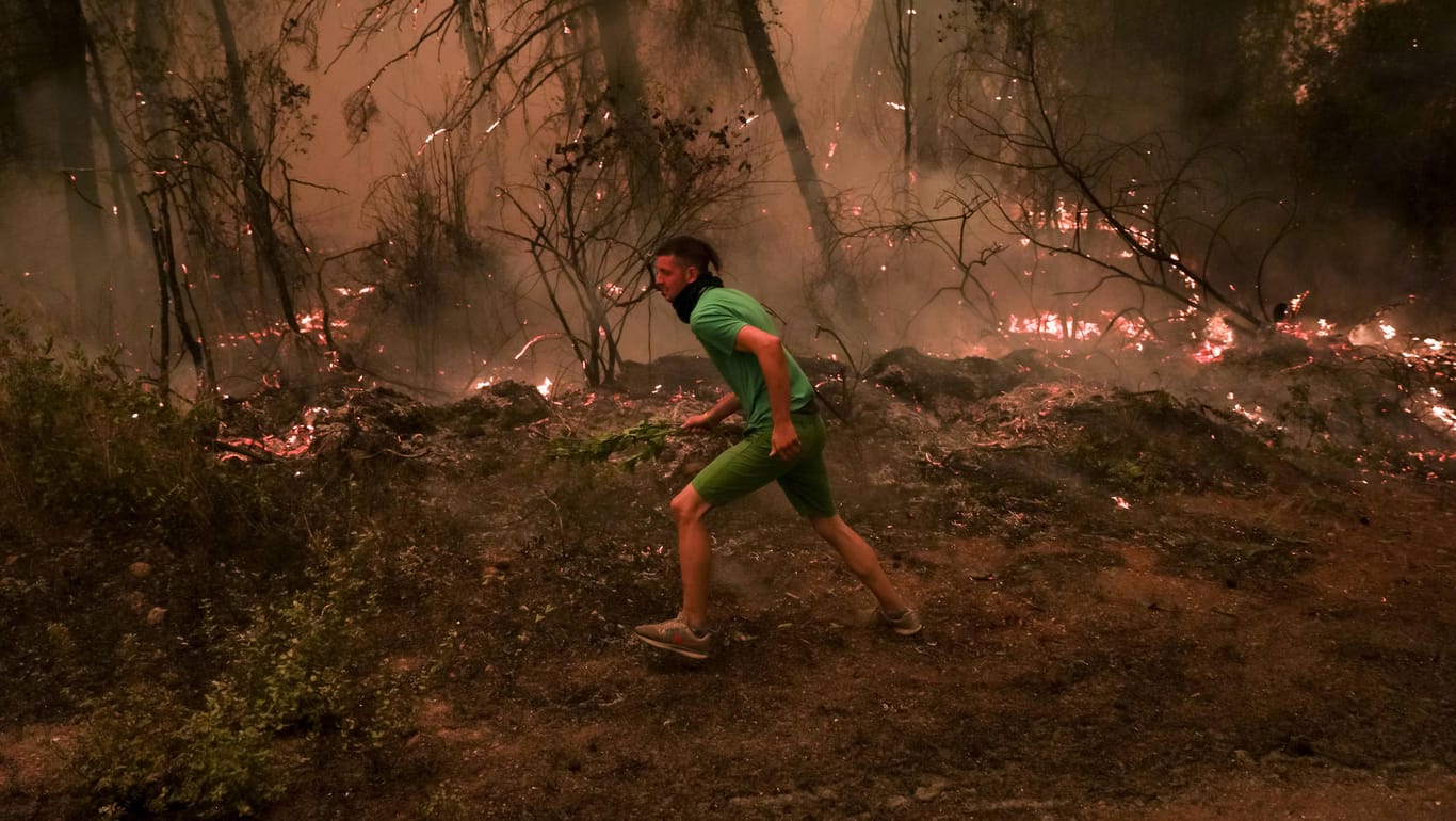 Feuer auf der griechischen Insel Euböa: Waldbrände werden zunehmen und extremer.