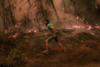 Feuer auf der griechischen Insel Euböa: Waldbrände werden zunehmen und extremer.