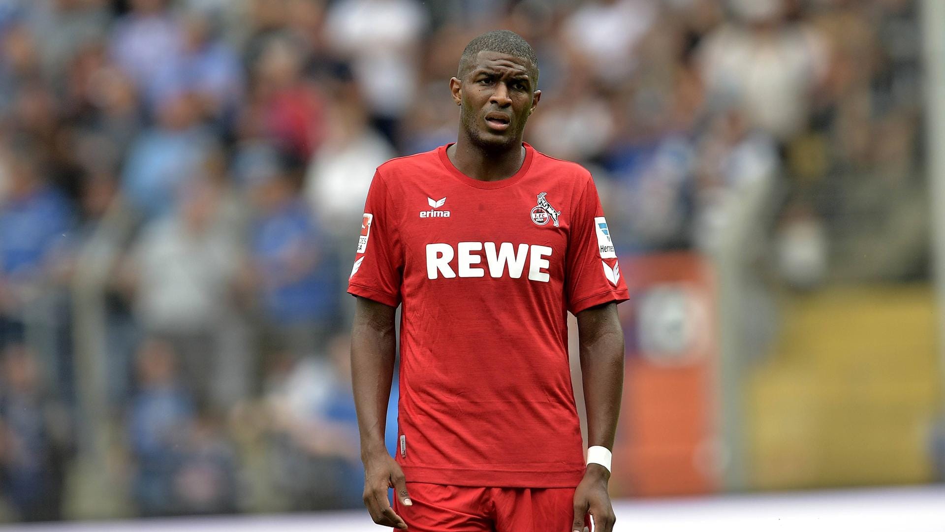 Dieser kritische Blick ist nicht nötig: Dank Anthony Modeste erreichte der FC nach 25 Jahren wieder den Europapokal.