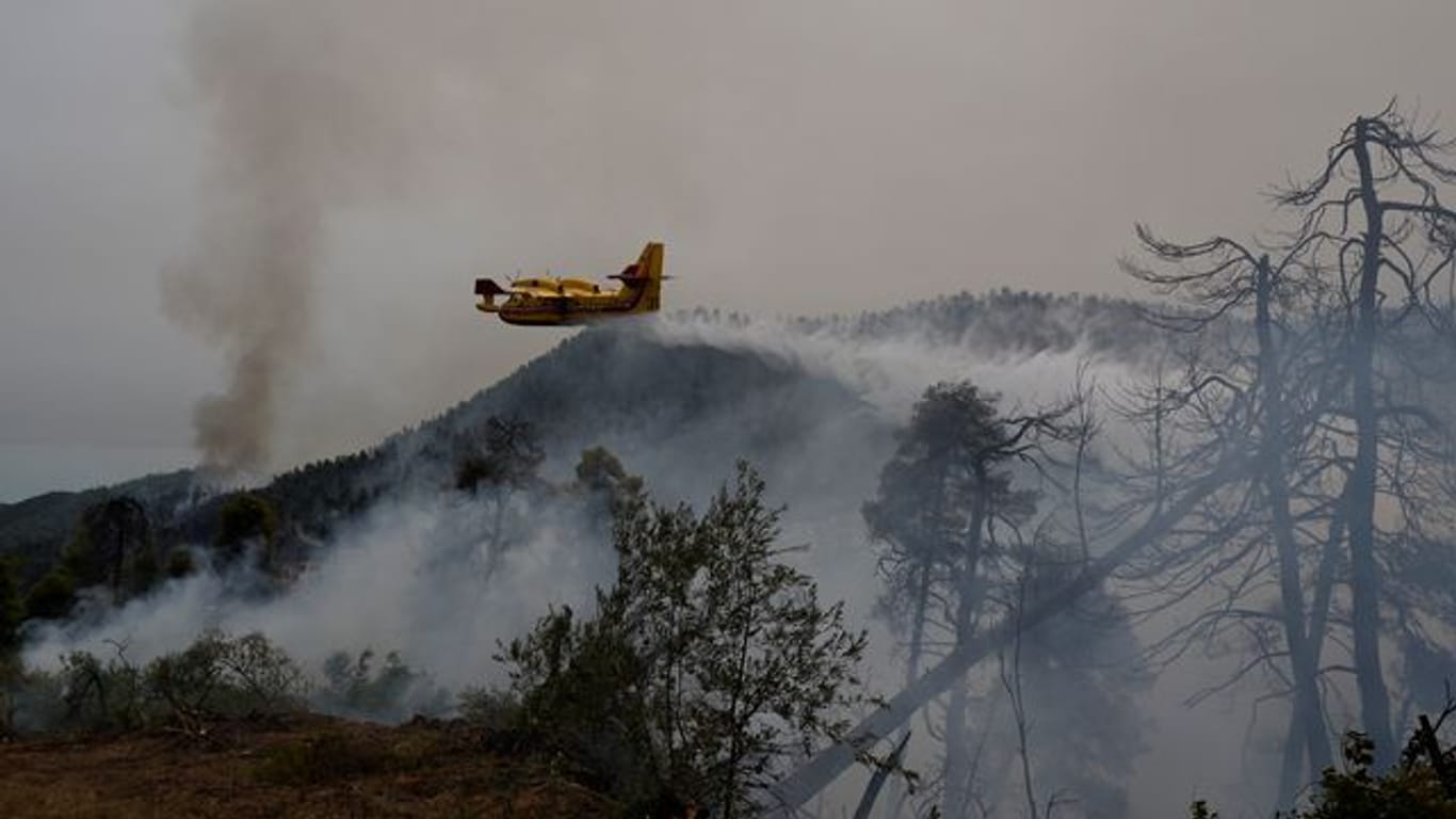 Bayern bietet Griechenland Hilfe bei Waldbrandbekämpfung