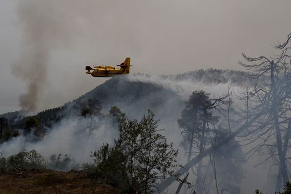 Bayern bietet Griechenland Hilfe bei Waldbrandbekämpfung