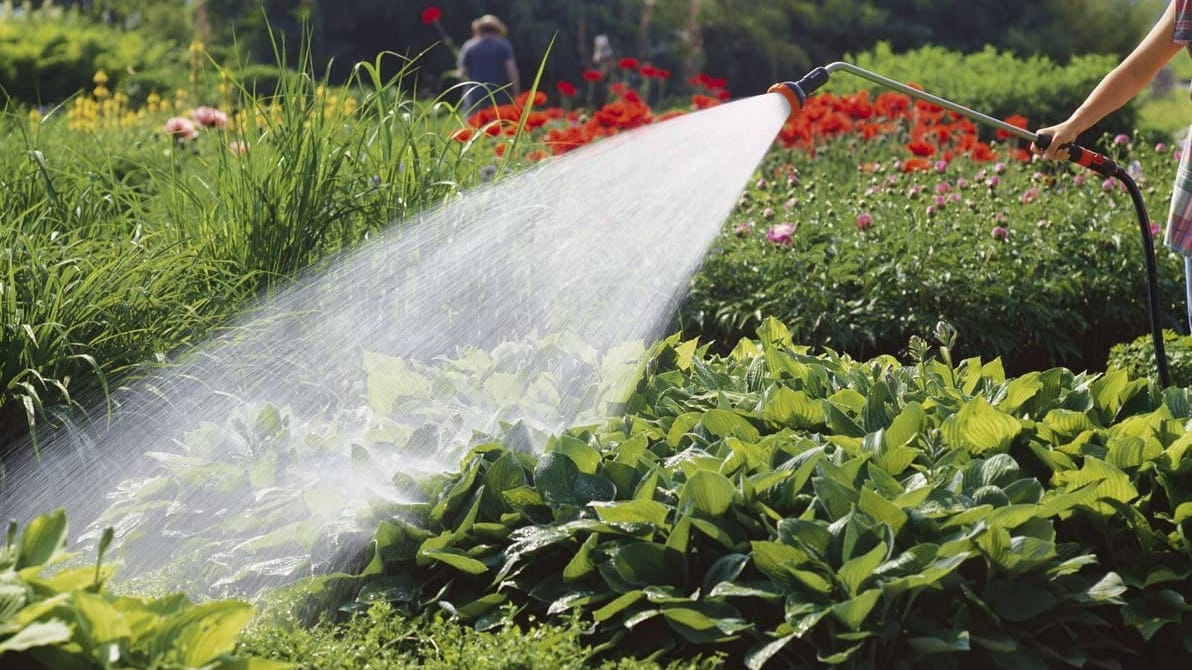 Garten-Schnäppchen bei Amazon: Heute erhalten Sie den Spritz-Gießstab von Gardena zum Knallerpreis.