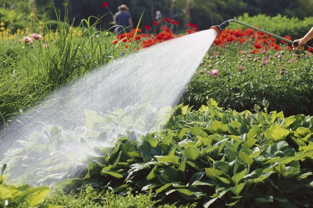 Garten-Schnäppchen bei Amazon: Heute erhalten Sie den Spritz-Gießstab von Gardena zum Knallerpreis.