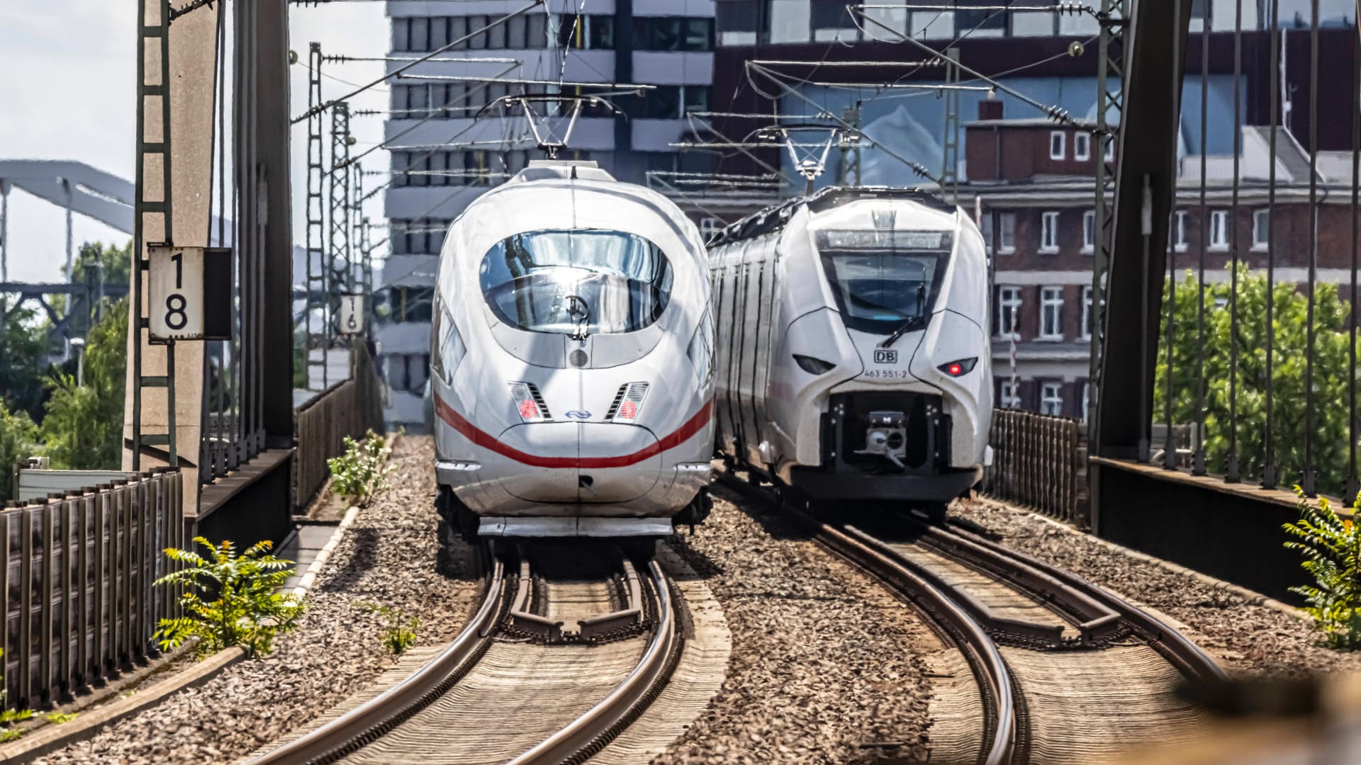 Mannheimer Bahnbrücke mit Zug der Deutschen Bahn (Symbolfoto): Wegen des GDL-Streiks hat die Deutsche Bahn ihre Verbindungen im Fernverkehr für Mittwoch und Donnerstag drastisch reduziert.