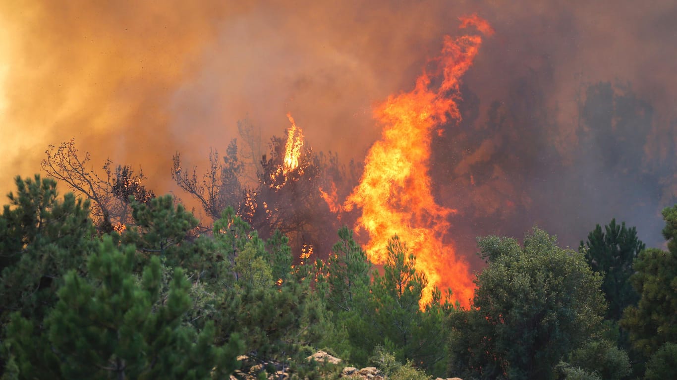 Türkei: Flammen schlagen aus einem Waldgebiet empor während eines Waldbrandes in Koycegiz.