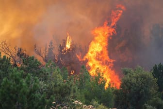 Türkei: Flammen schlagen aus einem Waldgebiet empor während eines Waldbrandes in Koycegiz.