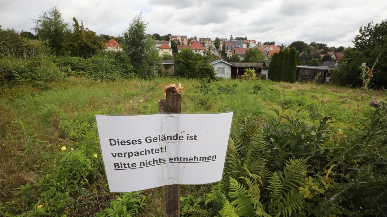 "Dieses Gelände ist verpachtet - Bitte nichts entnehmen!" steht auf einem Schild vor verwilderten ehemaligen Kleingärten in der Gartenanlage "Einheit". "Dieses Gelände ist verpachtet - Bitte nichts entnehmen!" steht auf einem Schild vor verwilderten ehemaligen Kleingärten in der Gartenanlage "Einheit".