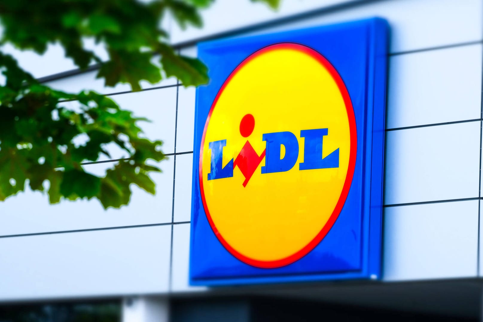 Lidl: Der Lebensmitteldiscounter verkauft jetzt auch Hanf- und Cannabis-Produkte.
