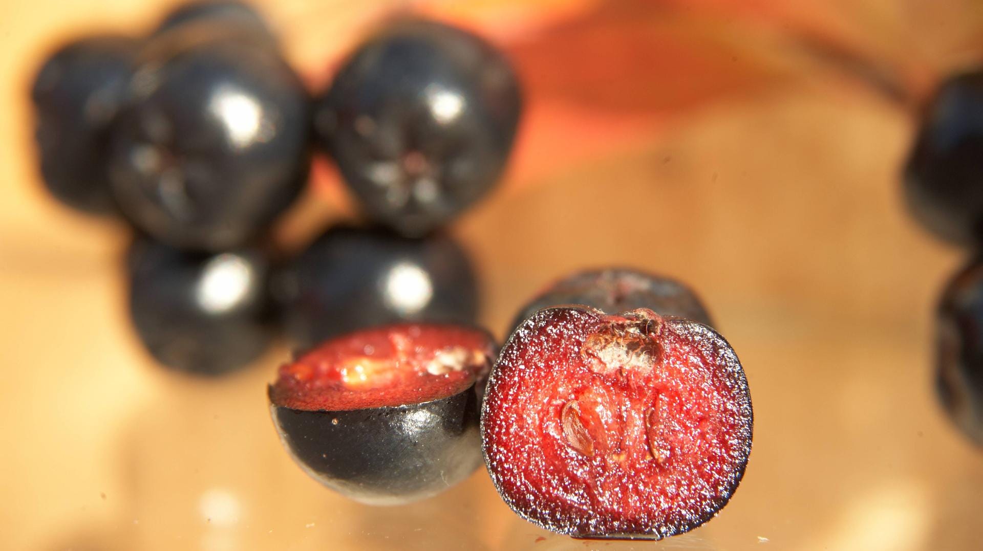 Apfelbeere (Aronia): In ihren Kernen sind geringe Mengen an Amygdalin enthalten. Das kann im Körper giftige Blausäure freisetzen.