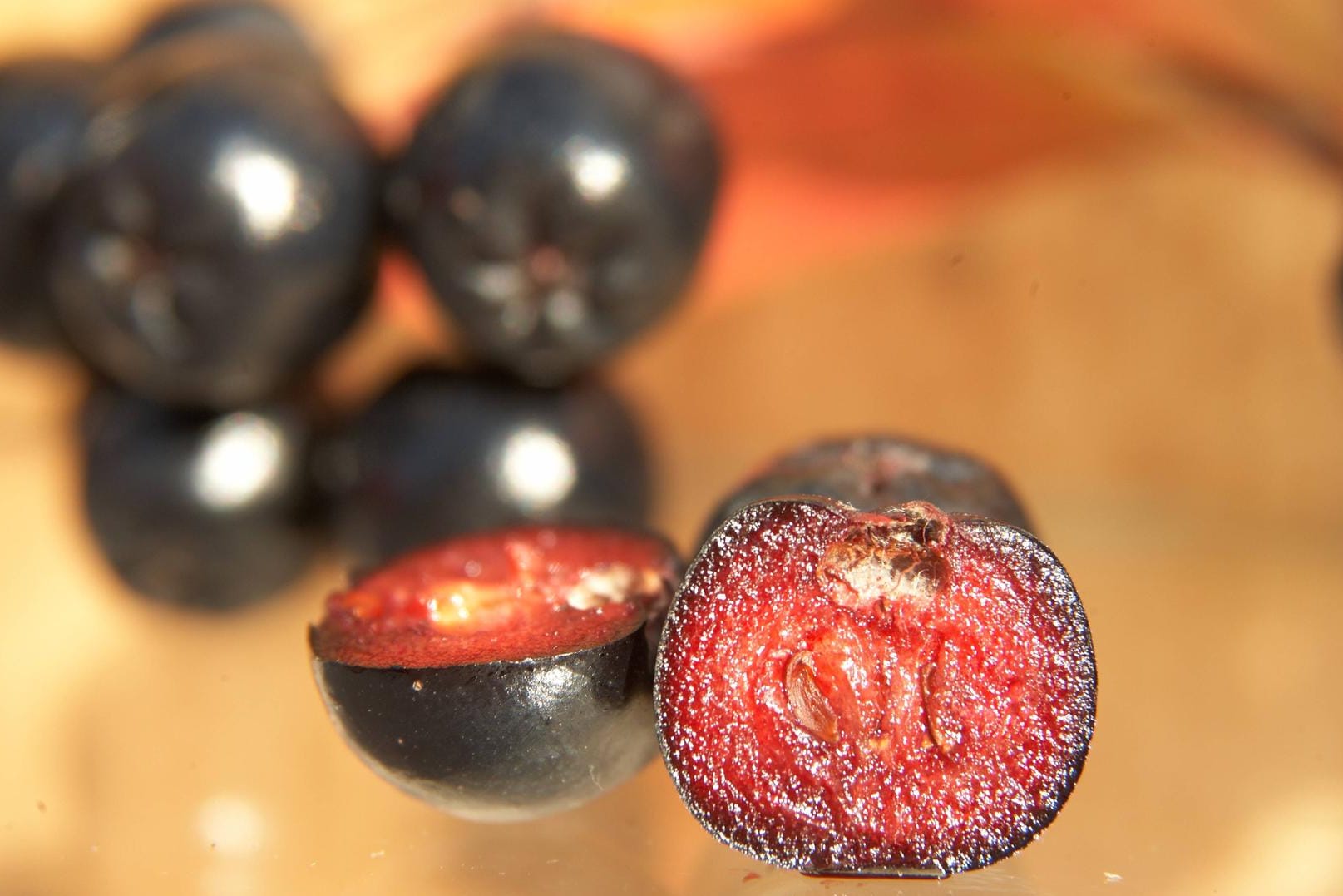 Apfelbeere (Aronia): In ihren Kernen sind geringe Mengen an Amygdalin enthalten. Das kann im Körper giftige Blausäure freisetzen.