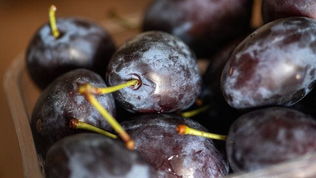 Bis Anfang Oktober haben heimische Zwetschgen Saison.