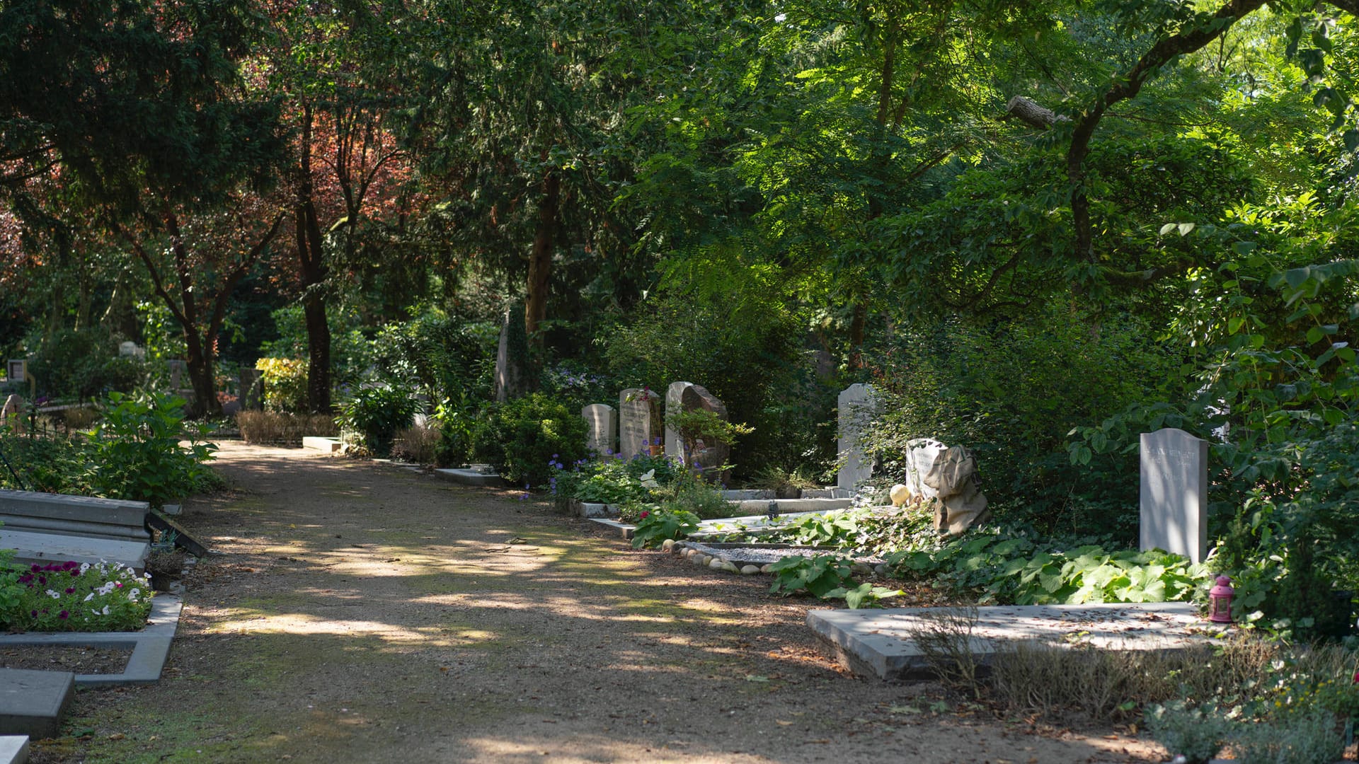 Ein Friedhof (Symbolbild): In Dortmund ist eine Seniorin auf einem Friedhof überfallen worden.