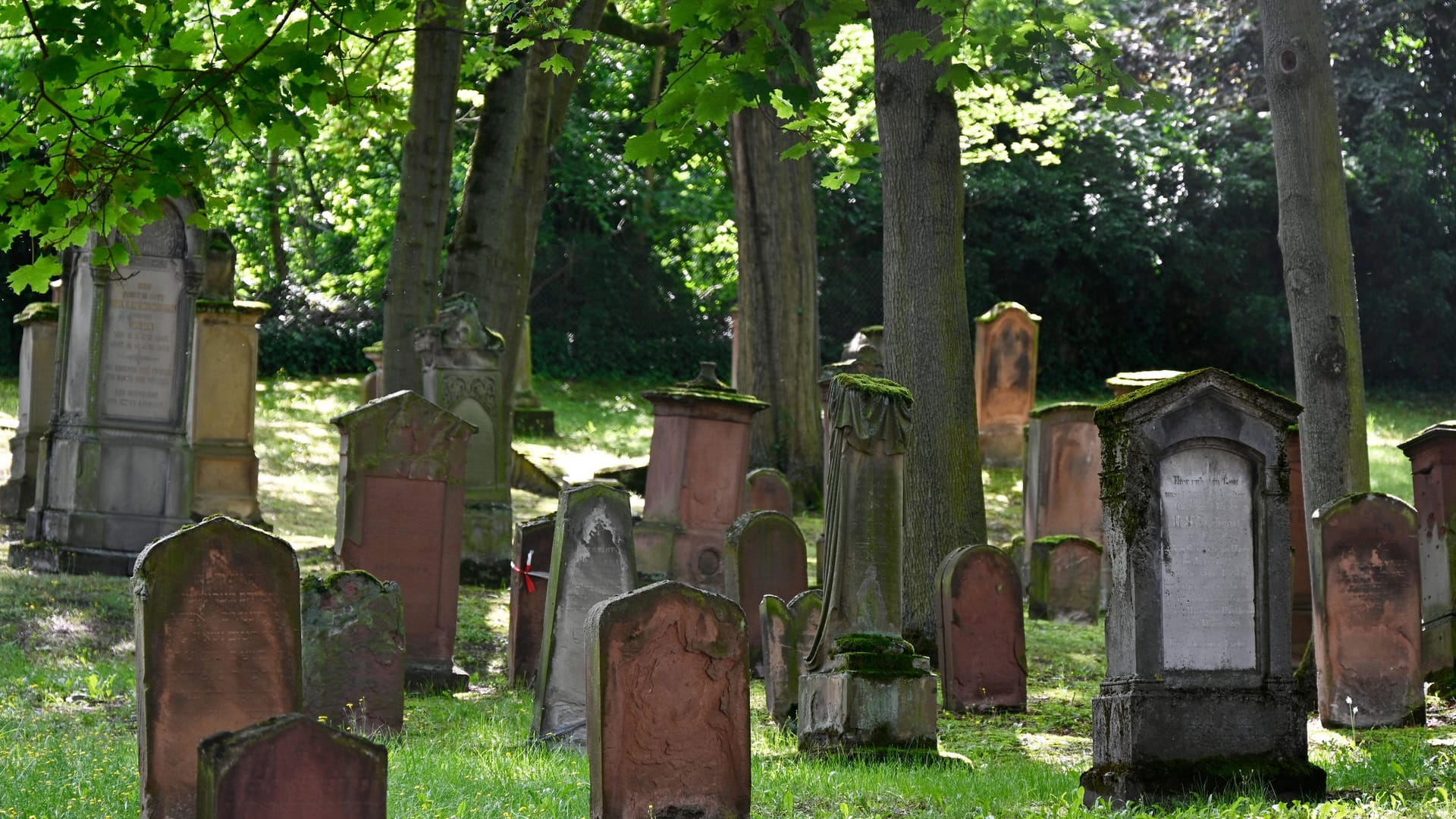 Grabsteine auf dem Alten Jüdischen Friedhof in Mainz (Symbolbild): Ein Besucherzentrum soll ab 2023 die rund tausendjährige Geschichte des Friedhofs zeigen. Grabsteine auf dem Alten Jüdischen Friedhof in Mainz (Symbolbild): Ein Besucherzentrum soll ab 2023 die rund tausendjährige Geschichte des Friedhofs zeigen.