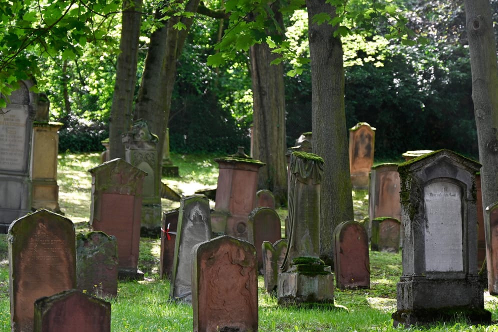 Grabsteine auf dem Alten Jüdischen Friedhof in Mainz (Symbolbild): Ein Besucherzentrum soll ab 2023 die rund tausendjährige Geschichte des Friedhofs zeigen.