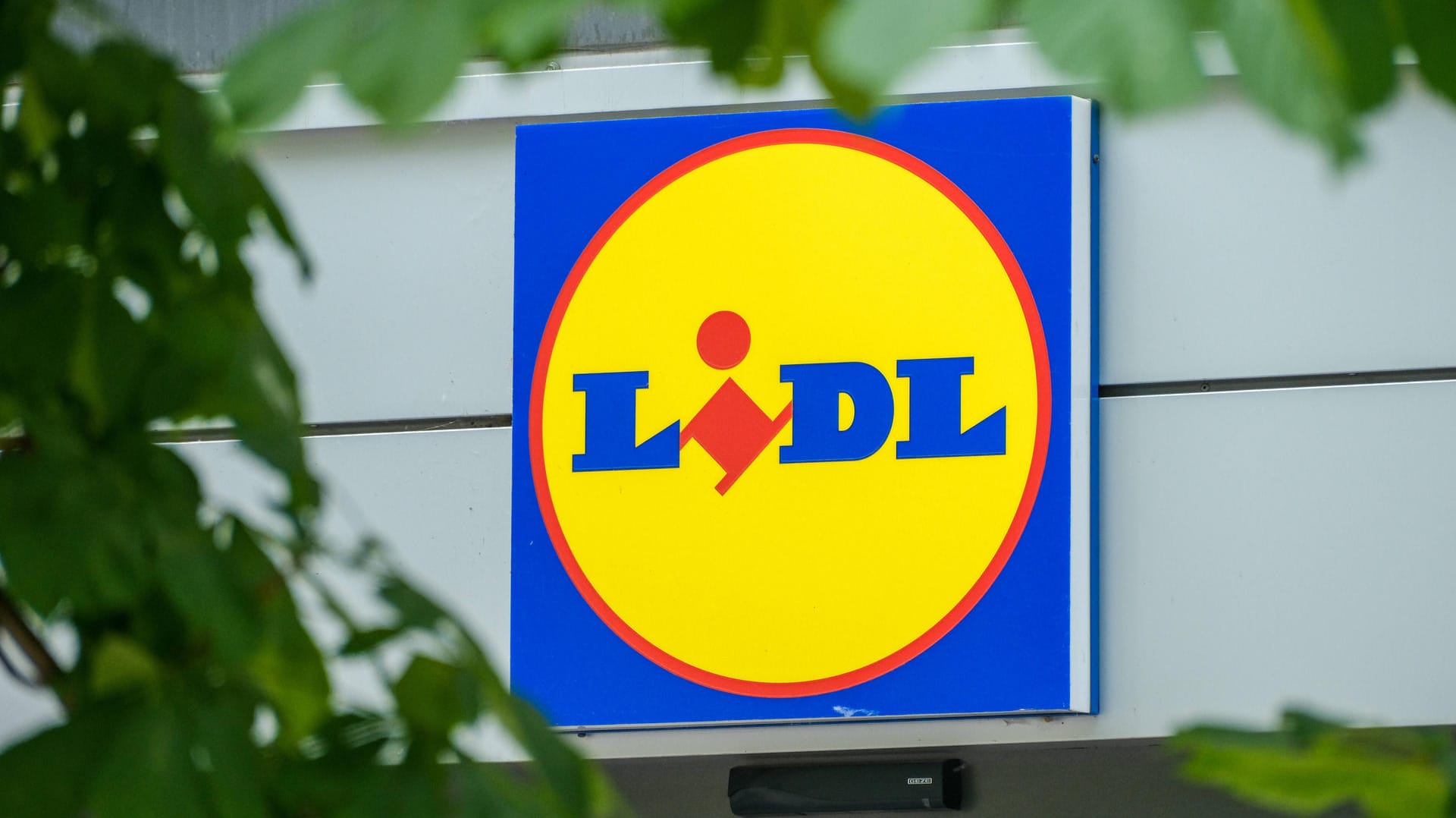 Lidl: Der Discounter verkauft in dieser Woche Cannabis-Aktionsware. Lidl: Der Discounter verkauft in dieser Woche Cannabis-Aktionsware.