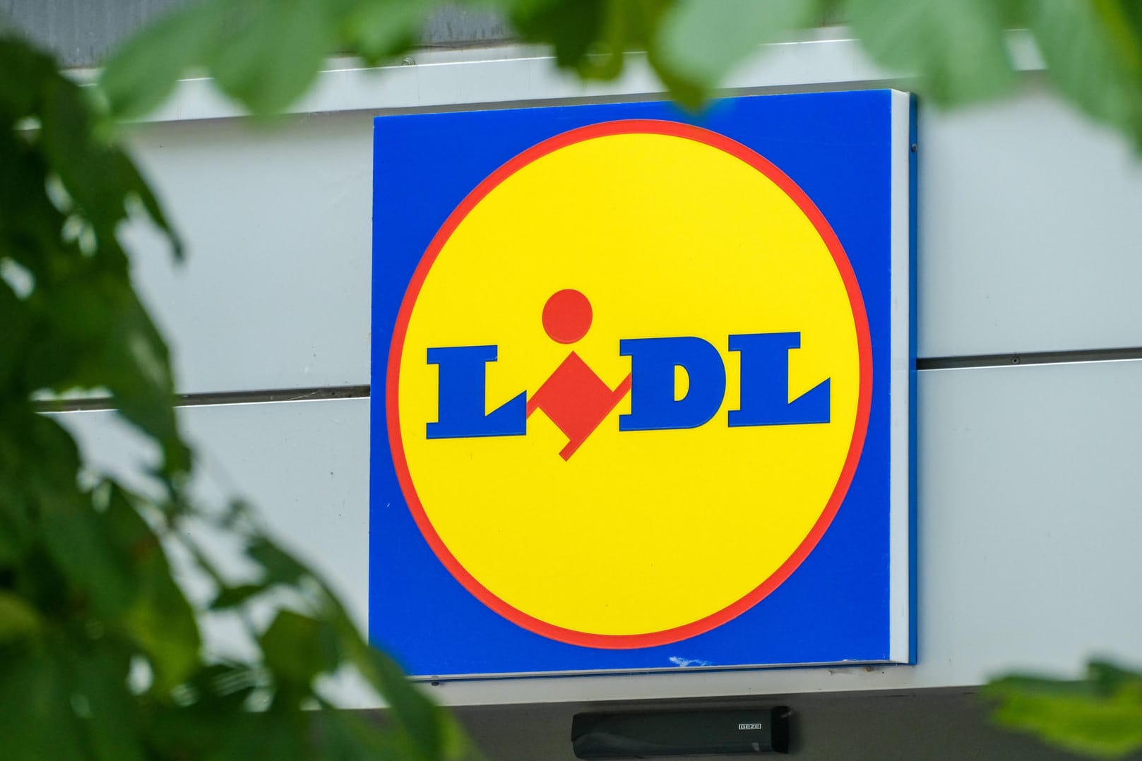 Lidl: Der Discounter verkauft in dieser Woche Cannabis-Aktionsware.