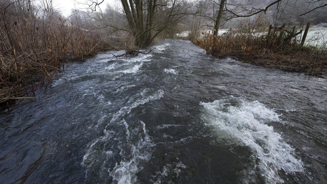 Der Fluss Alb fließt durch Ettlingen (Archivbild): Zum zweiten Mal in wenigen Wochen ist eine Leiche aus dem Fluss gezogen worden.