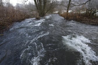 Der Fluss Alb fließt durch Ettlingen (Archivbild): Zum zweiten Mal in wenigen Wochen ist eine Leiche aus dem Fluss gezogen worden.