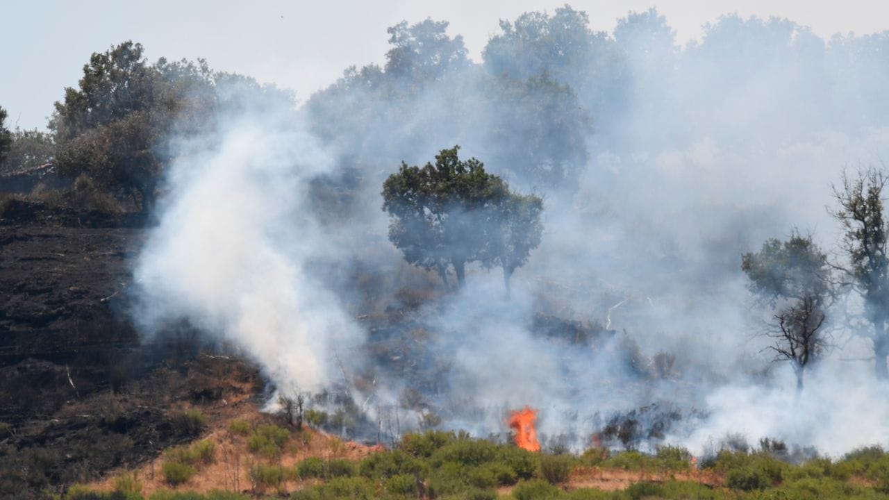 Lodernde Flammen in einem Pinienwald an den Hängen des Ätnas. Lodernde Flammen in einem Pinienwald an den Hängen des Ätnas.