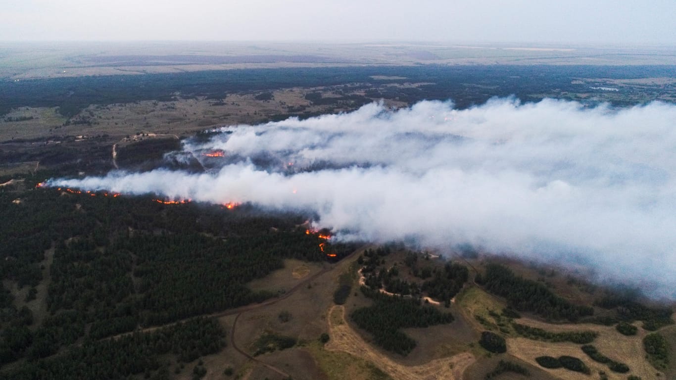 Ein Waldbrand mit einer Fläche von 200 Hektar im Bezirk Danilovka.