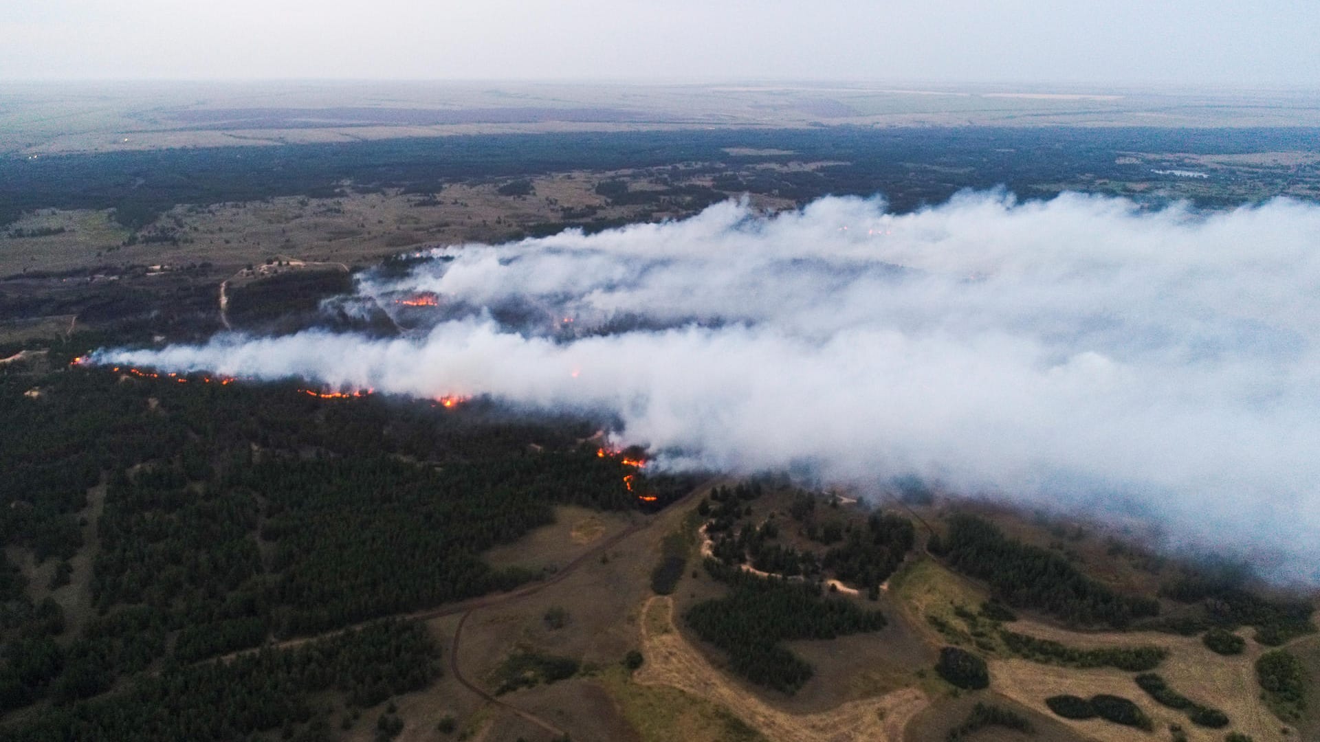 Ein Waldbrand mit einer Fläche von 200 Hektar im Bezirk Danilovka.