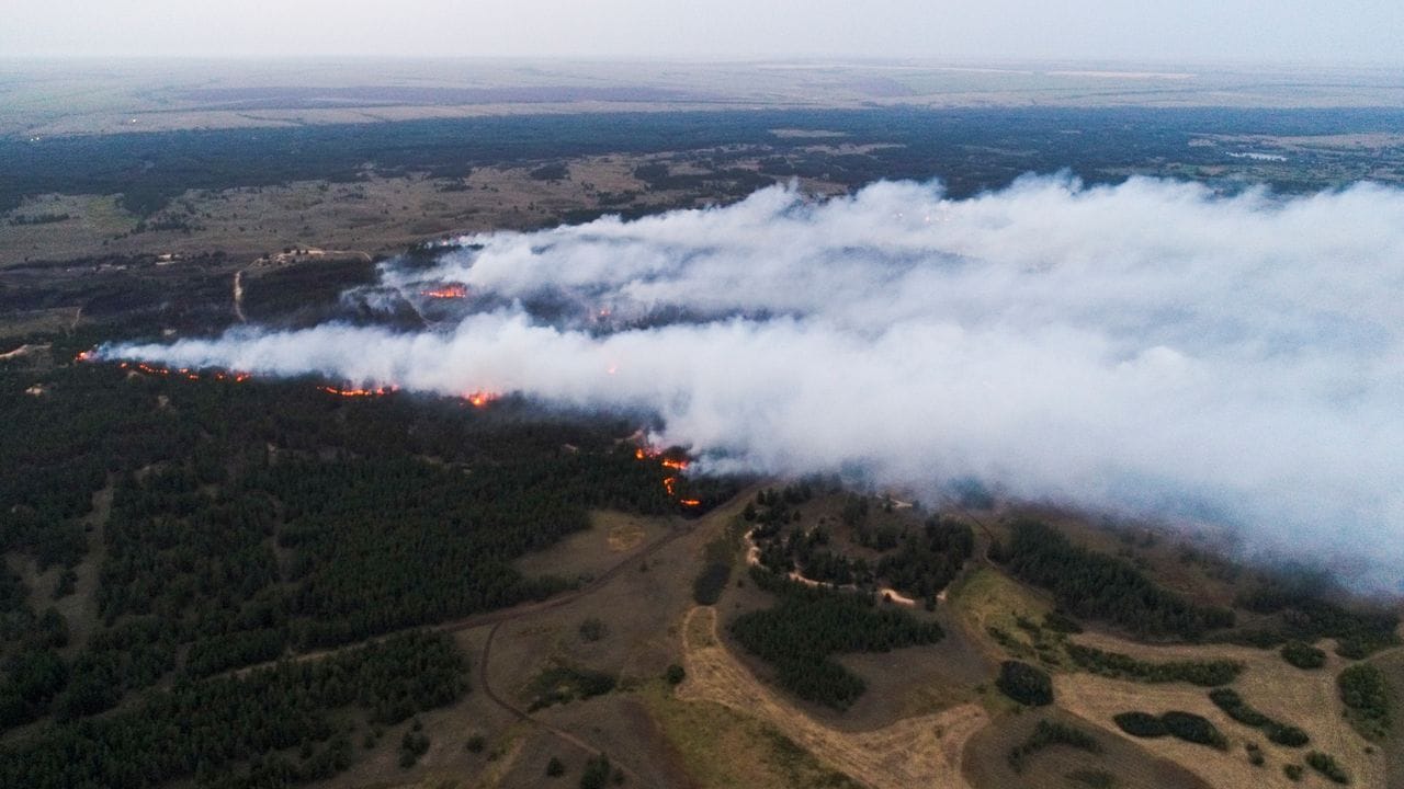 Die Waldbrände in Russland könnten nach Einschätzung von Umweltschützern ein historisches Ausmaß annehmen.