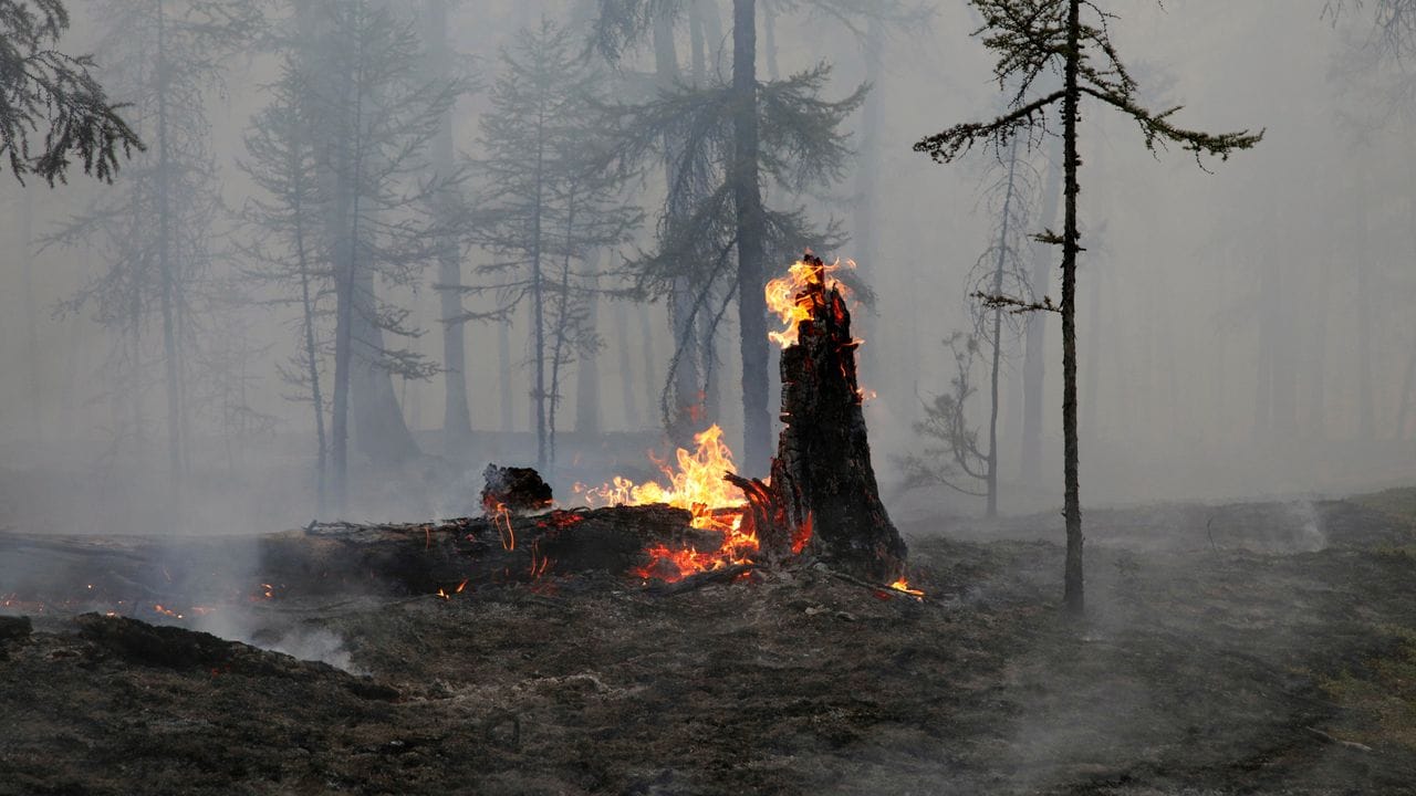 Die verheerenden Waldbrände in Russland werden zunehmend zu einer Gesundheitsgefahr für die Menschen.