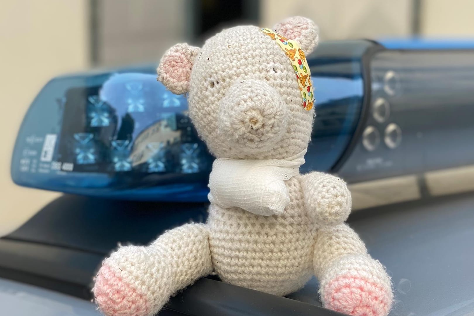 Dieser Teddy will nach Hause: Mit diesem Bild sucht die Mainzer Polizei nach der Person, die das Kuscheltier verloren hat.