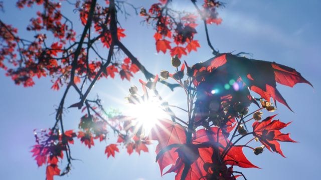 Sommerwetter