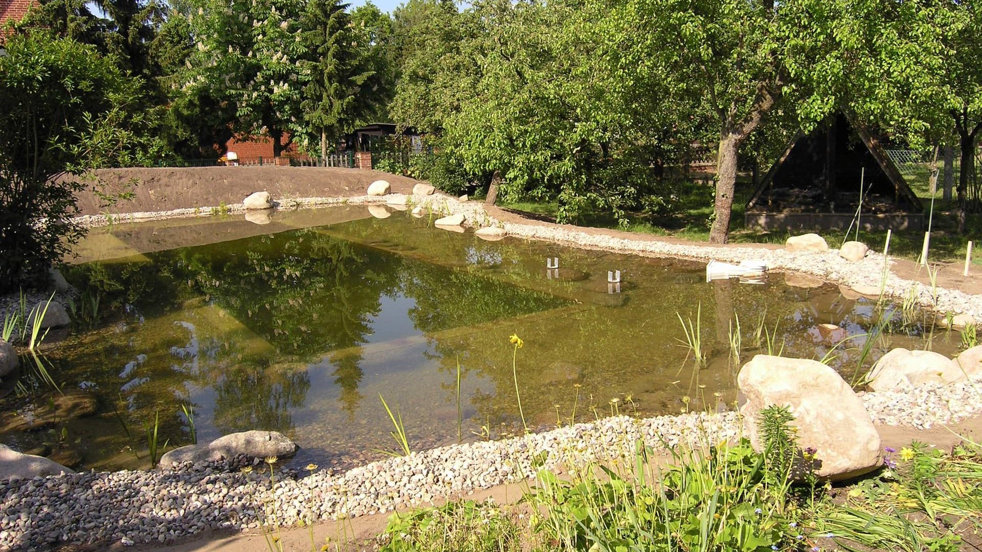 Neu angelegter Schwimmteich: Er ist unter Umständen genehmigungspflichtig.