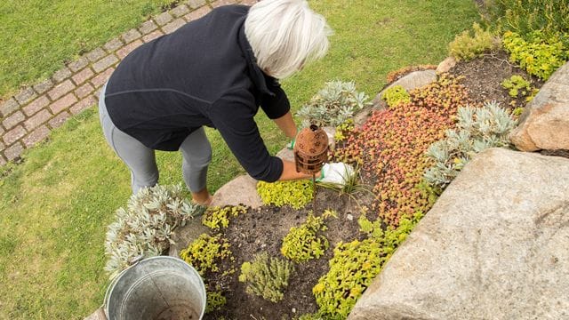 Da Steingärten oft alpine Pflanzen beheimaten, lassen sich damit zum Beispiel auch Hänge im Garten gut gestalten.