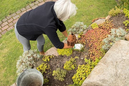 Da Steingärten oft alpine Pflanzen beheimaten, lassen sich damit zum Beispiel auch Hänge im Garten gut gestalten.