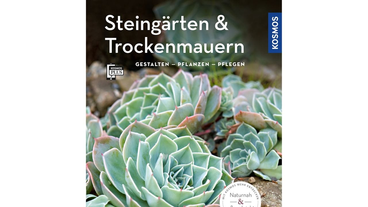 Angela Beck: Steingärten & Trockenmauern.