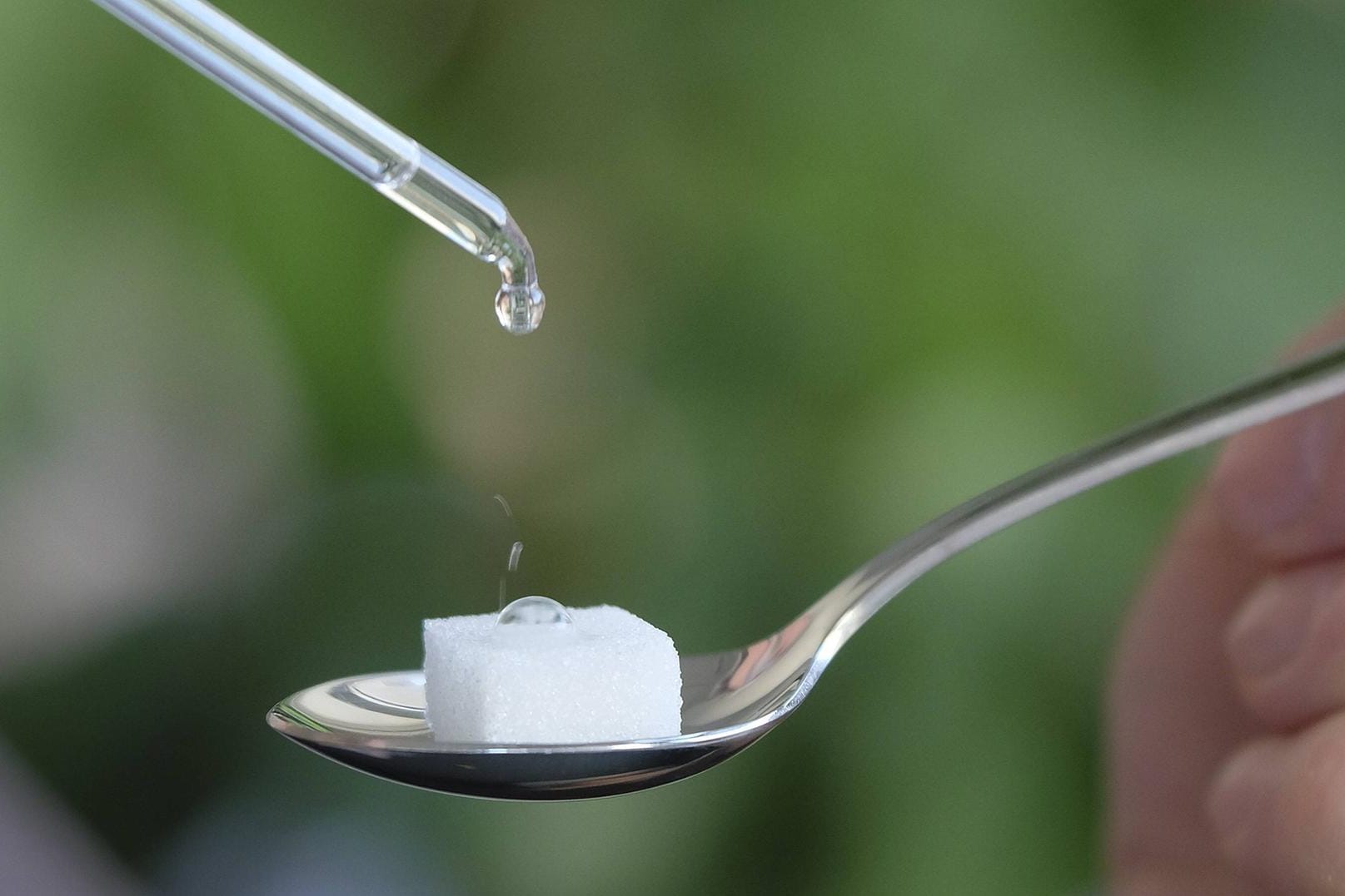 Polio-Schluckimpfung: In seltenen Fällen kann die Impfung zu einem Virusausbruch führen. (Symbolbild)