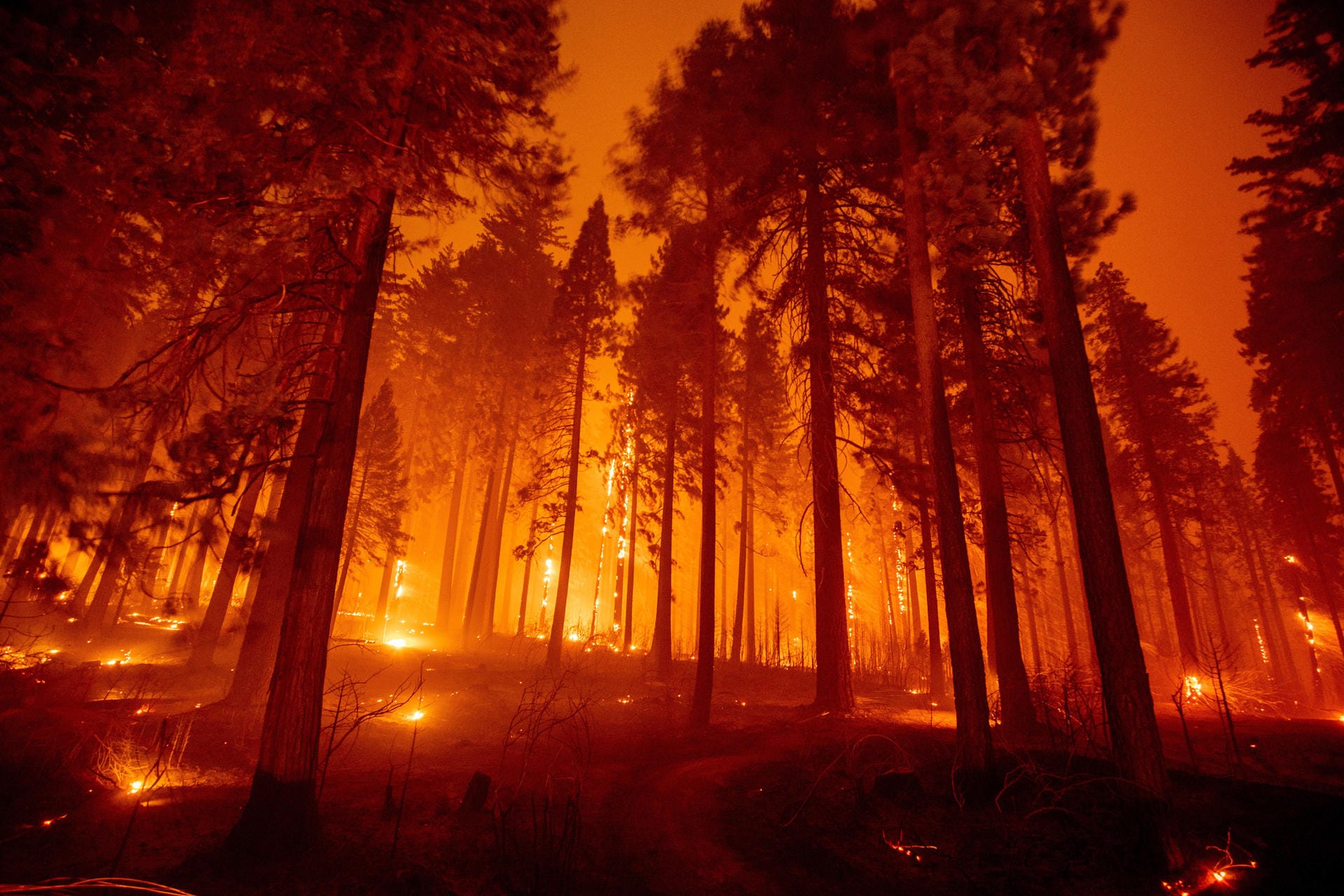 In Kalifornien greift ein riesiger Waldbrand um sich. Innerhalb von 24 Stunden ist er fast um das Zehnfache angewachsen und hat nun eine Fläche von über 217 Quadratkilometern Land erfasst. Viele Ortschaften sind niedergebrannt. Feuerwehreinsatzkräfte sind im Dauereinsatz.