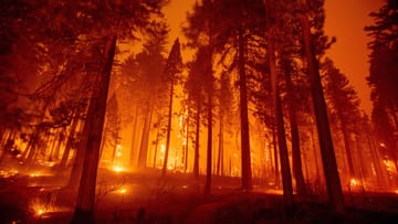 In Kalifornien greift ein riesiger Waldbrand um sich. Innerhalb von 24 Stunden ist er fast um das Zehnfache angewachsen und hat nun eine Fläche von über 217 Quadratkilometern Land erfasst. Viele Ortschaften sind niedergebrannt. Feuerwehreinsatzkräfte sind im Dauereinsatz.