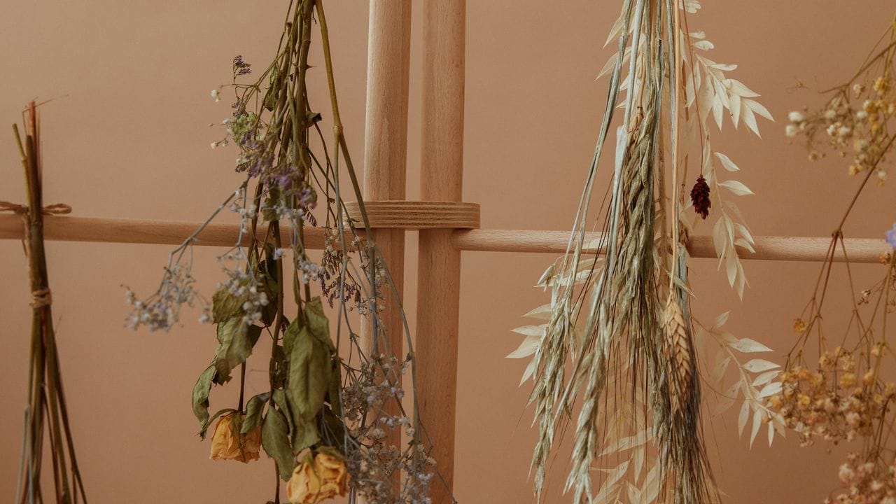 Blumen werden zum Trocknen am besten mit den Köpfen nach unten aufgehängt. Blumen werden zum Trocknen am besten mit den Köpfen nach unten aufgehängt.