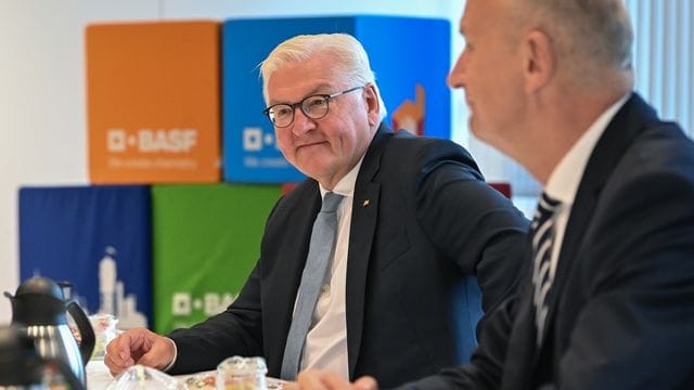 Bundespräsident Steinmeier