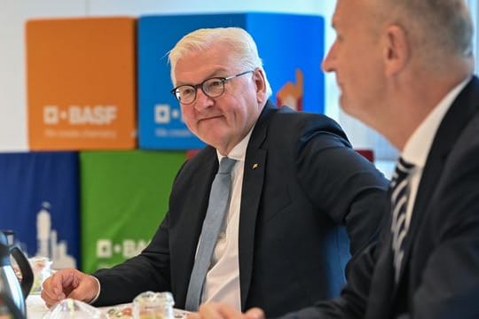 Bundespräsident Steinmeier