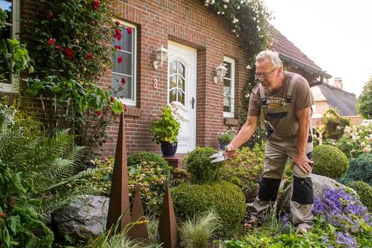 Dicht bepflanzte Gärten kommen besser mit viel Regen und Starkregen-Ereignissen zurecht.