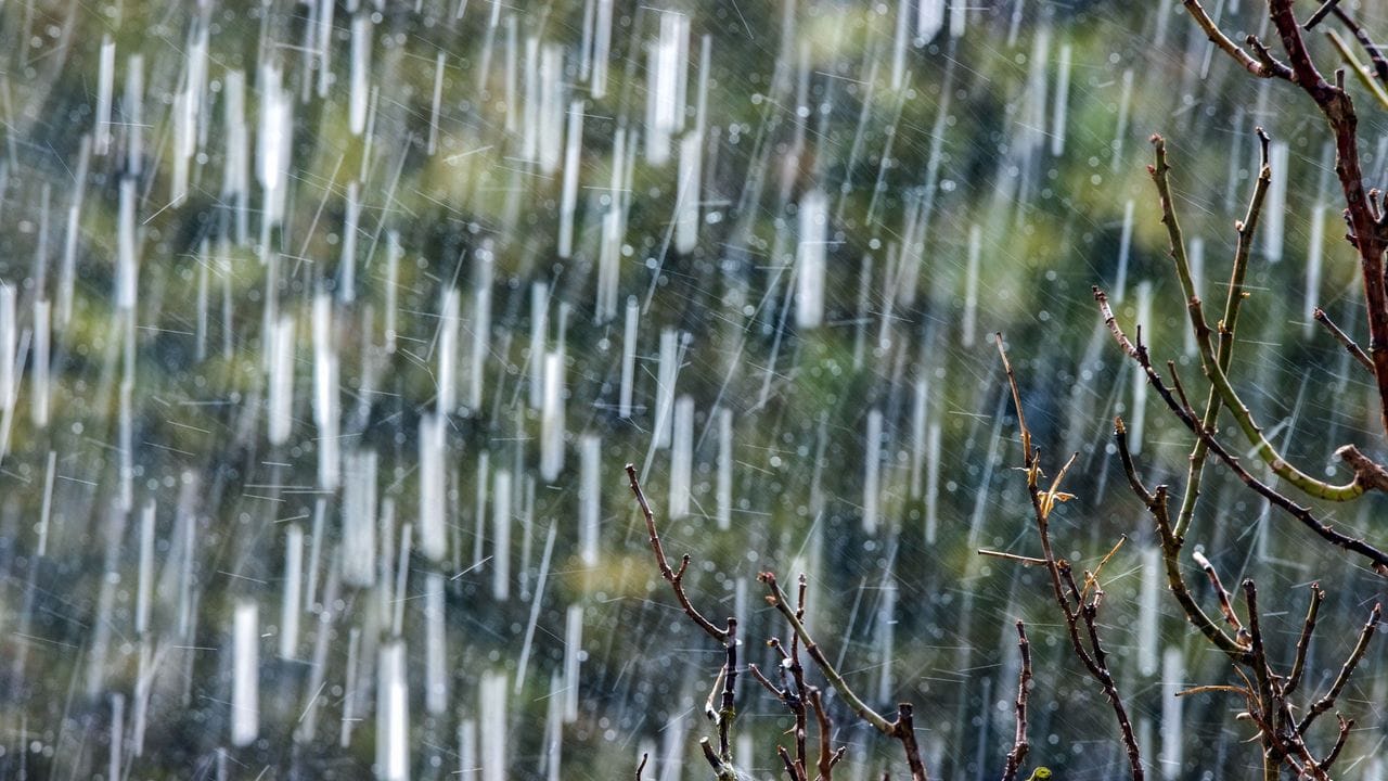 Heftige Schauer, gar Dauerregen über einige Tage können so viel Wasser bringen, dass die Gartenböden es nicht mehr aufnehmen können.