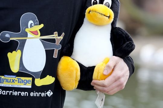 Ein Linux-Maskottchen, der Pinguin Tux.