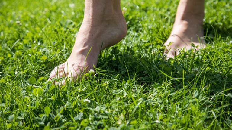 Schuhe aus: Gras ist ein perfekter Untergrund für die ersten Barfuß-Gehversuche.