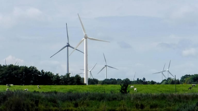 Windräder am Rande der Elbe (Symbolbild): Die EEG-Umlage zum Ausbau der erneuerbaren Energien verteuert den Strompreis seit geraumer Zeit.