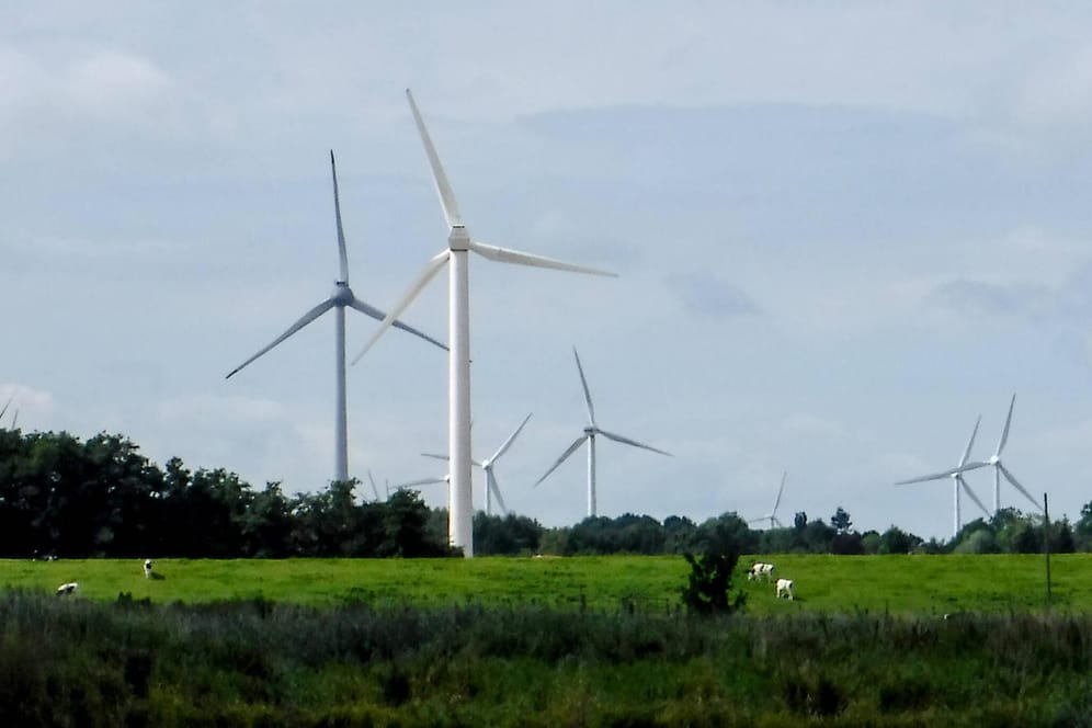 Windräder am Rande der Elbe (Symbolbild): Die EEG-Umlage zum Ausbau der erneuerbaren Energien verteuert den Strompreis seit geraumer Zeit.