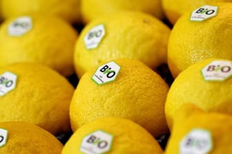 Wer Zitronen für einen Zitronenabrieb verwenden möchte, sollte dafür ausschließlich zu Bio-Zitronen greifen.