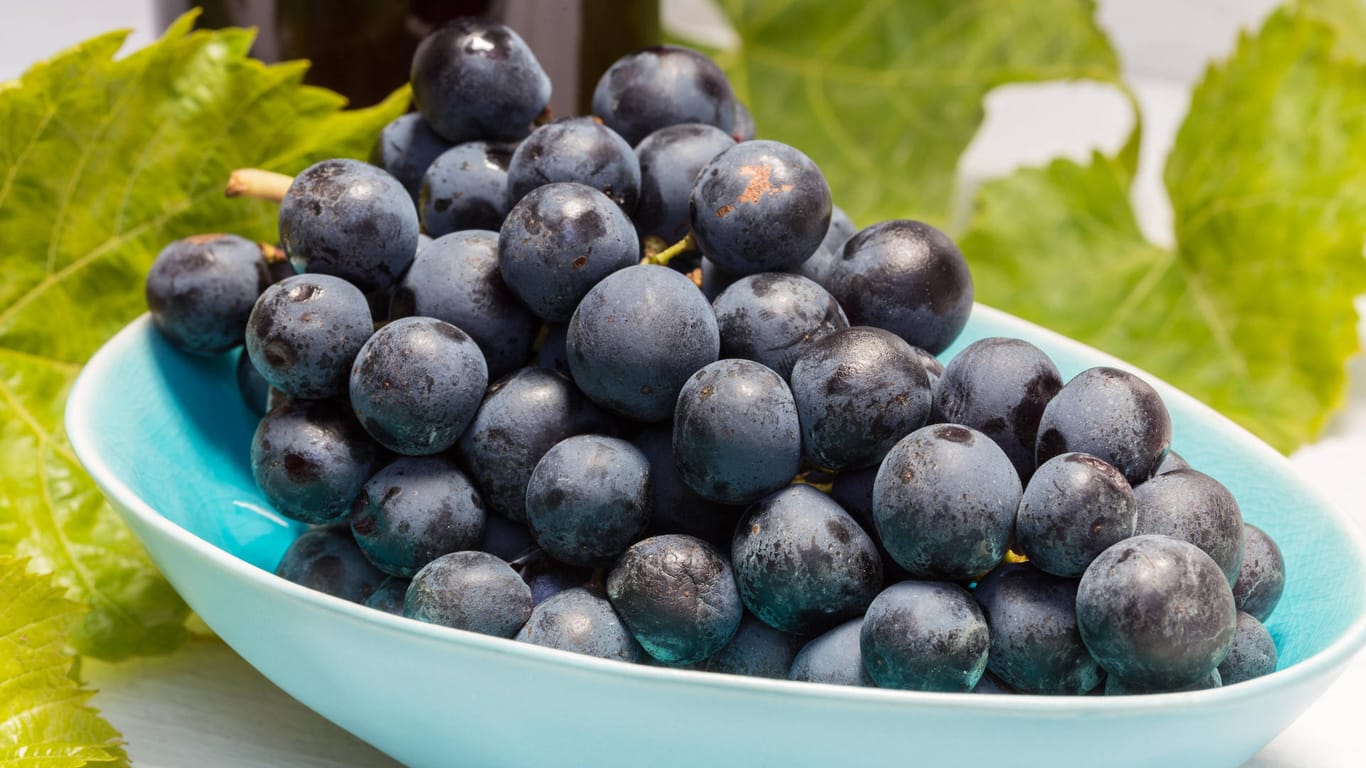 Weintrauben: Trauben sind ein idealer Snack für zwischendurch, der enthaltene Frucht- und Traubenzucker liefert schnell Energie.