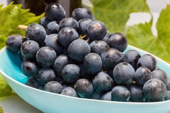 Weintrauben: Trauben sind ein idealer Snack für zwischendurch, der enthaltene Frucht- und Traubenzucker liefert schnell Energie.