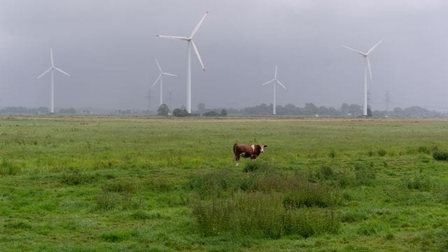 Regenwetter über Norddeutschland